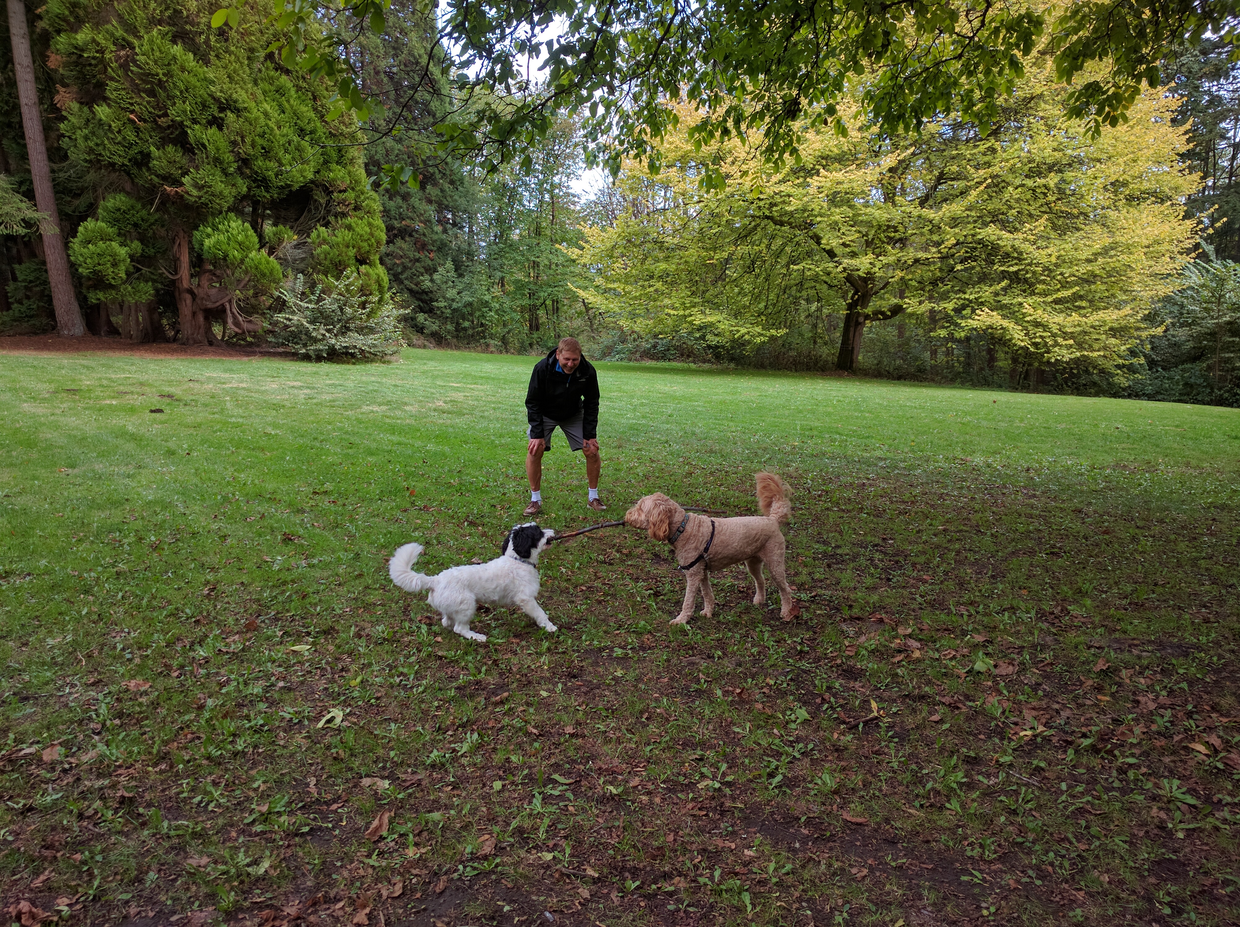 Luxury Meets Nature: Why Our Executive Home is Your Gateway to theBest of White Rock